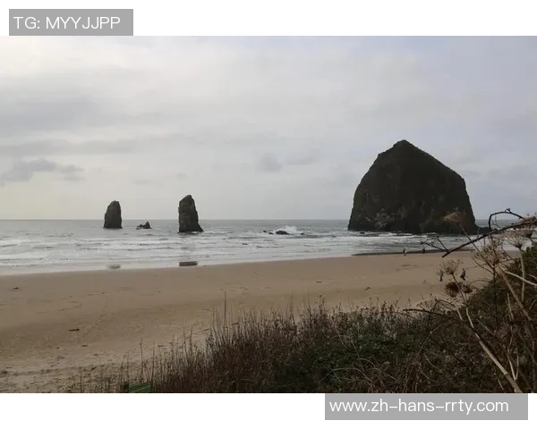 西雅图海队与波特兰伐队激战在即谁将赢得这场西部德比的胜利
